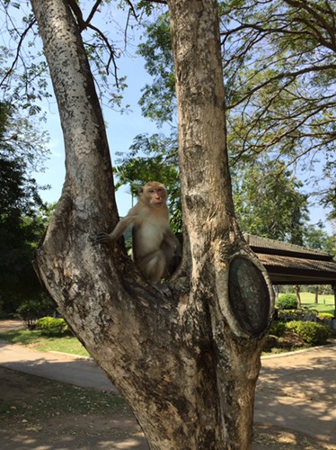 Royal Ratchaburi Golf Club, Ratchaburi, Thailand