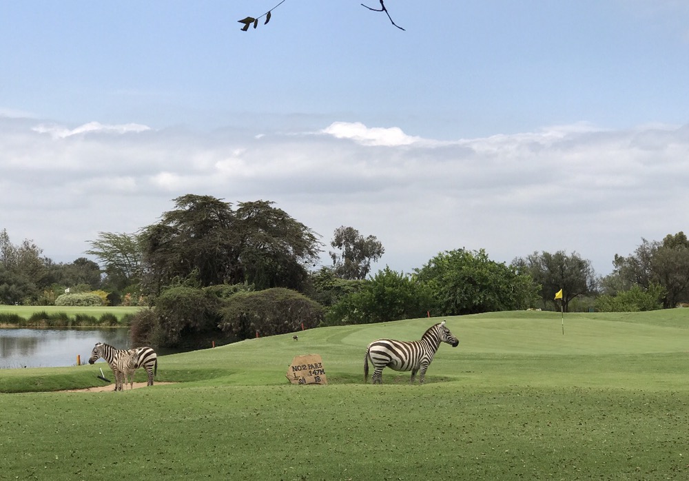Great Rift Valley Lodge & Golf Resort, Naivasha