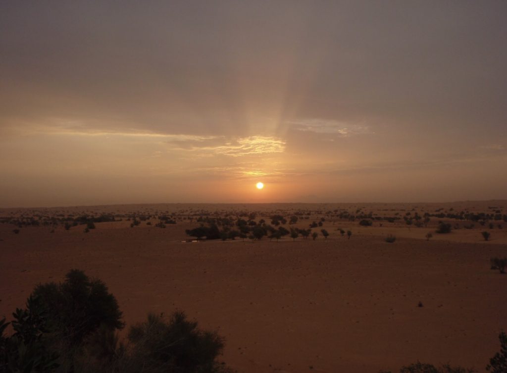 Sonnenuntergang im Al Maha