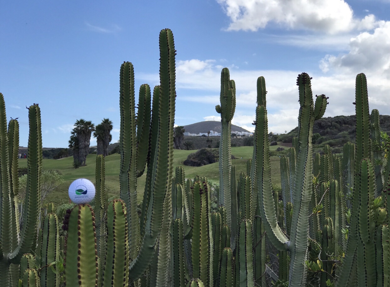 Buenavista Golf, Teneriffa