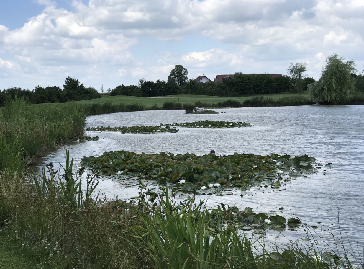 Golfclub Salzburg, Eugendorf, Österreich