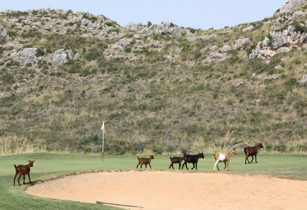 Capdepera Golf, Mallorca, Spanien