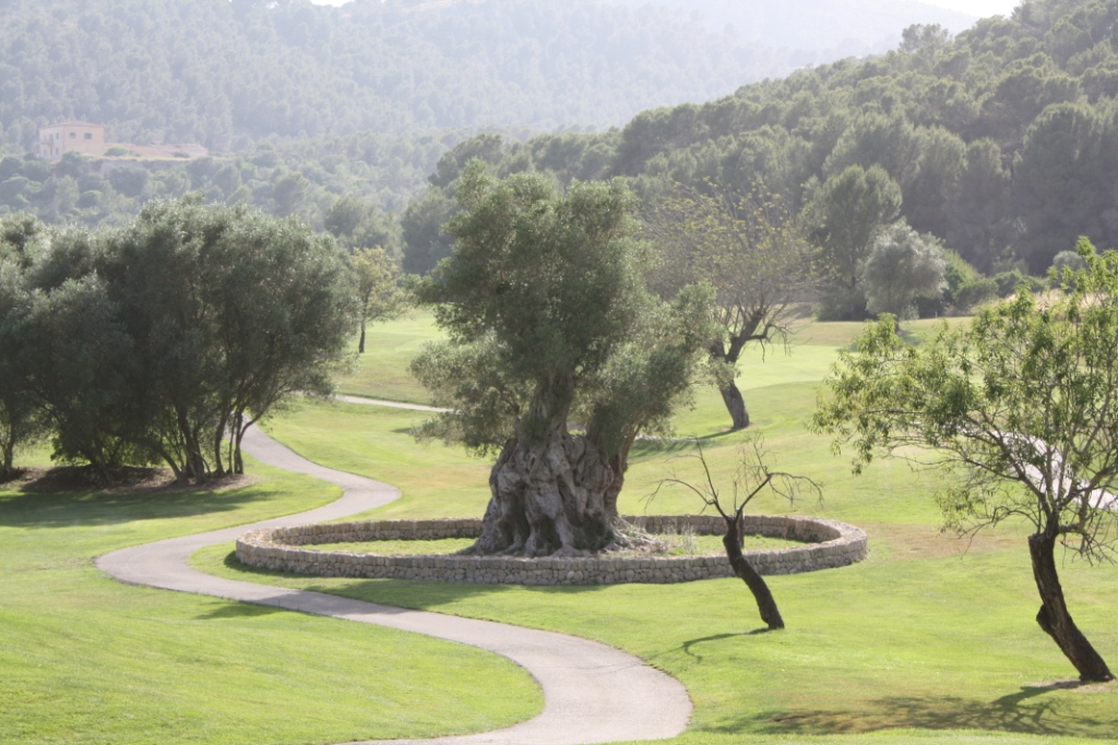 Son Muntaner, Mallorca Spanien